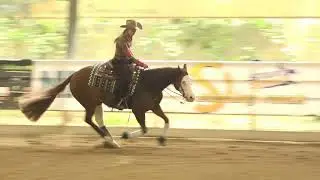 Gunstep --- Gina Schuhmacher --- D --- EURO DERBY 2020