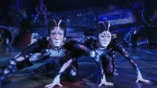 CATS | Portugal - Janeiro 2026 | Spot 20'