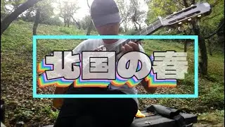北国の春