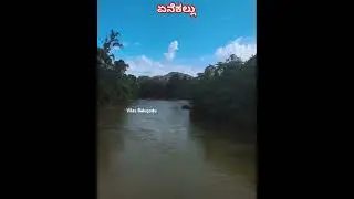 Hasurina Bana Sirige Olidu #drrajkumar #westernghats #forest #river #kukkesubramanya #enekallu #bike