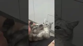 Тимофей 😂😂😂👍👍👍
