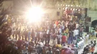 زمر  .. مفيد الحنتولي