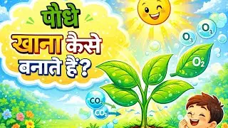  Photosynthesis story #education #fun #Photosynthesis #KidsLearning #ScienceForKids #HindiEducation