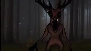 DECRETANDO O COMEÇO DA SAGA DE 99 NOITES NA FLORESTA NO CANAL!!!