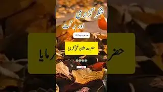 شکرگزاری اور برکت | Hazrat Usman Ghani R.A Quotes | Islamic Video #Shorts #YouTubeShorts #ShortsFeed