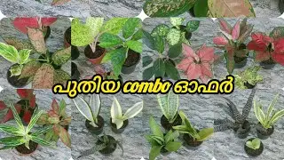 New combo offer including cc 560/-contact no 7558048200