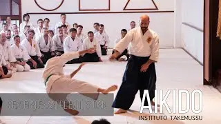Aikido Takemussu AIKI. Professor Alexandre Bull.