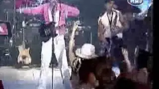 Blues Bug