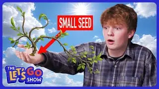 Why the Kingdom of God Grows Like a Plant | THE LET&rsquo;S GO SHOW