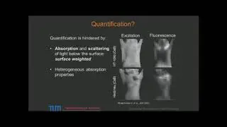 Basic (Physics) Principles of Quantification Using Optical Techniques