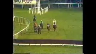 1988 Henry VIII Novices' Chase