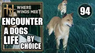 Where Winds Meet - A Dog&rsquo;s Life By Choice - Encounter - Gameplay Walkthrough Part 94