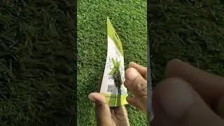 Green tea beauty facial sheet mask from masking#review#greentea#sheetmask#ytshorts#youtubeshorts