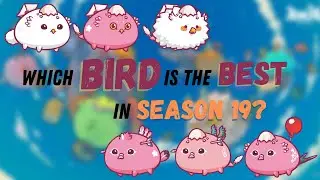 STRONGEST BIRD IN S19? | AXIE SCHOLARSHIP GIVEAWAY ANNOUNCEMENT | EPISODE 1