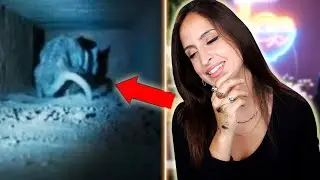 ON N'EST PAS CENSÉ RIRE EN REGARDANT ÇA....