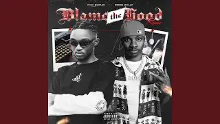 Blame the Hood (feat. Rord Kelly)