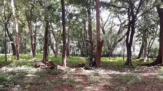 The Essence & Beauty of Nature