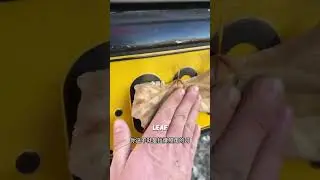 Как китайцы накрывают свои тарелки 🔥