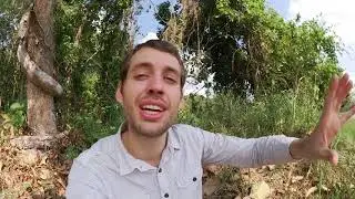 [Subtitles] German Vlog #80 - WAS IST DIE AUTHENTIC GERMAN LEARNING ACADEMY?