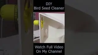 Bird Seed Cleaning Machine #shorts
