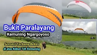 BUKIT PARALAYANG KEMUNING || Terbang Bebas di Atas Kebun Teh Kemuning Karanganyar