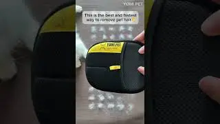 This is the most effortless pet hair removal tool I have used so far👏🏻#cat #petbrush #cleaning
