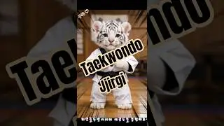 Основная стойка корейского тхэквондо. 1. Удар.