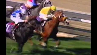 1993 Breeders' Cup Turf - Kotashaan + Post Race