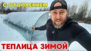 Теплица зимой с отоплением и тёплыми грядками! Ожидания и реальность