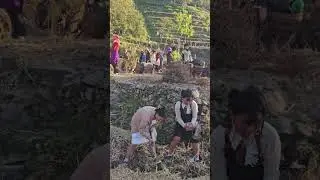 First day of work Jan 2,2026 #Diggingpaddy #Thuvopisuvillage 