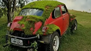 Baja Buggy 