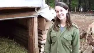 earth berm pig shelter cuts pig feed costs
