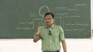 Lecture On Early Human Embryology: Implantation, Bilaminar Germinal Disc & Yolk Sac Formation | MBBS