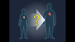 Childhood CV Risk Factors and Adult CV Events | NEJM