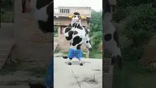 cow funny 🤣 dance # viral 🤩 video # trinding 😂 short 🙏