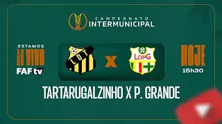 TARTARUGALZINHO X PORTO GRANDE | CAMPEONATO INTERMUNICIPAL 2025 | AO VIVO COM IMAGEM