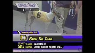 Paint The Trail # 6  Wins  She is back after resting since December