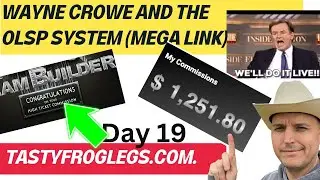 The OLSP System Review - A Comprehensive Look for 2024