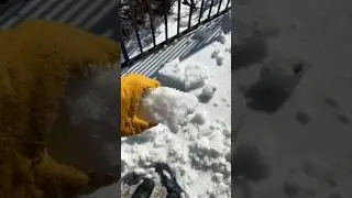 Проламывание снега, покрытого льдом