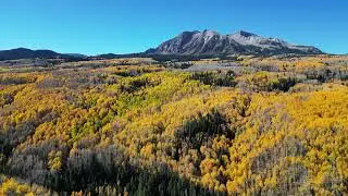 Fall Color of Kebler Pass in 4k