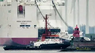 Einlauf Schlepper EEMS WRESTLER PDSG IMO 8843549 tug inbound NPorts Emden BJ 1990