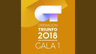 Vuelvo A Verte