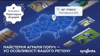 Демо-поле ТОВ &laquo;Сингента&raquo; у ФГ &laquo;Грига&raquo;: стан культур на 21.08.2025