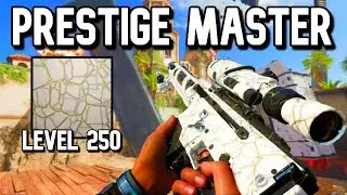 I MASTERED the &ldquo;SHADOW SK&rdquo; in Black Ops 7&hellip; (Prestige Master Level 250)