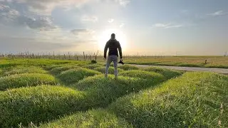 PAMPORE KASHMIR | SAFFRON FIELDS