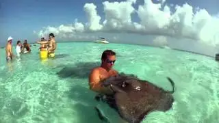 Grand Cayman’s Stingray City/Sandbar