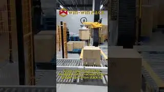 Single column palletizer equipped with a vacuum foam gripper for carton stacking #palletizer #shorts