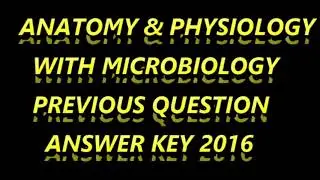previous question Answer Key, previous question paper answer key, 2016 question paper answer key