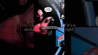 The Punisher Dresses Up As Spider-Man...