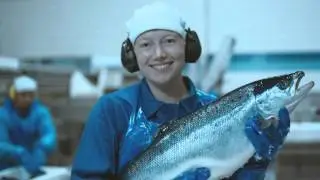 Seafood From Norway: Origin Matters